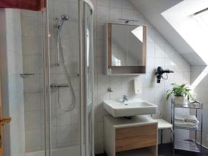 y baño con lavabo y ducha. en Gästehaus - Camping- Weinhof Radl, en Klöch