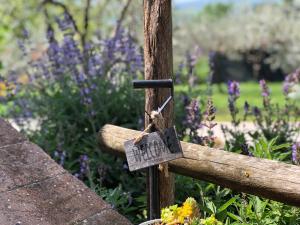 Zahrada ubytování Locazione Turistica sita in via Ponte di Ferro 2 a Gualdo Cattaneo