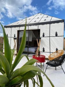 a white tent with chairs and a table and a plant at Ali Baba Infinity in Essaouira