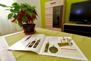 un libro sobre una mesa con una planta y un televisor en Apartment Eliana, en Zadar