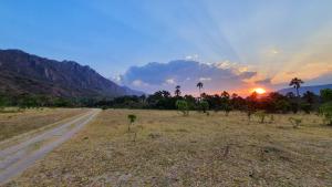 a dirt road with palm trees and the sunset at Pousada Veredas, Café e 08 cachoeiras na propriedade incluso ! in Cavalcante