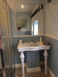 a bathroom with a sink and a glass shower at Stone Lodge B&B in Balrath