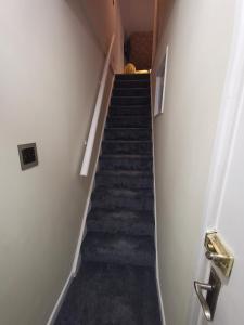 a staircase in a house with blue carpeted stairs at Aquarius B&B in Newquay