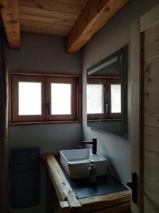 a bathroom with a sink and a mirror at CHALET ARLETTE in Les Orres