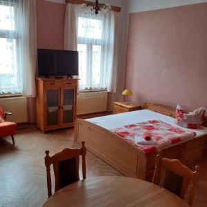 sypialnia z łóżkiem i telewizorem z płaskim ekranem w obiekcie Apartma Františkovy Lázně we Franciszkowych Łaźniach