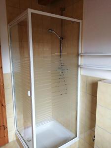 a shower with a glass enclosure in a bathroom at Ferienhaus Am Peenestrom in Quilitz +4 photos