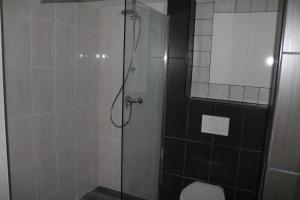 a bathroom with a glass shower with a toilet at Apartment 't Zwaluwnest Luttenberg in Luttenberg