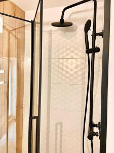 a shower with a glass door and a lamp at SKALNY apartamenty, pokoje in Ogrodzieniec