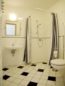 a bathroom with a shower and a toilet and a sink at Apartmány Lhota in Bechyně