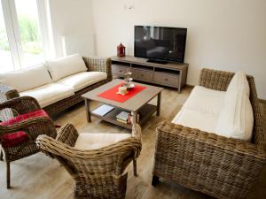 TV a/nebo společenská místnost v ubytování Apartmány Lhota