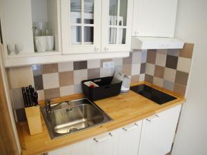Kuchyň nebo kuchyňský kout v ubytování Apartmány Lhota
