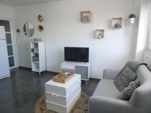 sala de estar con sofá y TV en Appart paisible, propre et accueillant, en Pers-Jussy