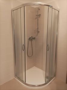 y baño con ducha y puerta de cristal. en Rodinné vinařství Guldanovi en Diváky