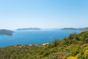 a view of a large body of water with trees at Golden Rose Suit pension in Kaş