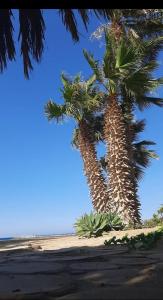 Foto de la galeria de Beautiful studio with sea view and pool view a Hurghada