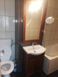La salle de bains est pourvue d'un lavabo, de toilettes et d'un miroir. dans l'établissement Apartament Dodo, à Cluj-Napoca