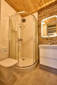 a bathroom with a shower and a toilet and a sink at Rote Wohnung - Goldenes-Häusle in Sulzbach an der Murr