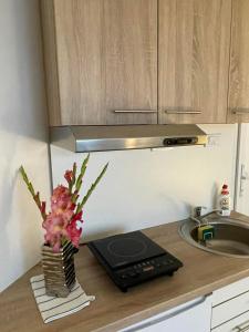 a kitchen counter with a stove and a vase of flowers at Apartman Dunav in Kladovo