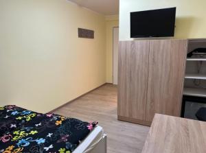 Televízia a/alebo spoločenská miestnosť v ubytovaní Privatzimmer Weber