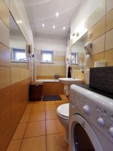 W łazience znajduje się toaleta, umywalka i pralka. w obiekcie Smart Business Apartman w Miszkolcu +22 zdjęcia