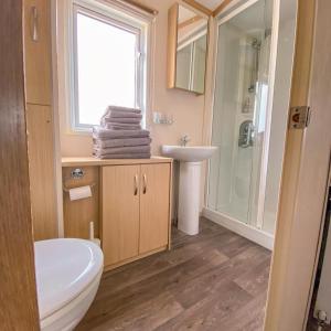 a bathroom with a toilet and a sink and a shower at Ruddingwood Lodge in Tuxford