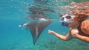 a diver in the water with a large shark at LVIS blancura Hotel in Dharavandhoo