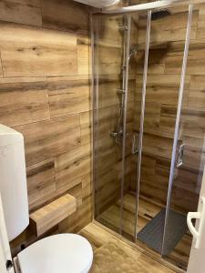ein Bad mit einer Dusche und einem WC in der Unterkunft Apartman Petrov in Donji Milanovac