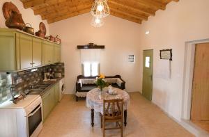 Kuchyň nebo kuchyňský kout v ubytování Villa Anagennisis
