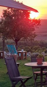 a table and chairs and a table and a table and a tree at ***** Quinta Do Pôr do Sol ***** in Figueira da Foz