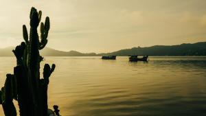dos barcos en el agua con un cactus en Lagoa Nômade Hostel, en Florianópolis