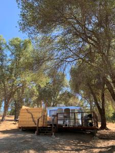 una caravana estacionada bajo un árbol en un campo en Heavenly Gateway to Yosemite & Bass Lake, en Oakhurst