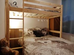 a couple of bunk beds in a room at Appartement 2 Chambres au calme in Les Angles