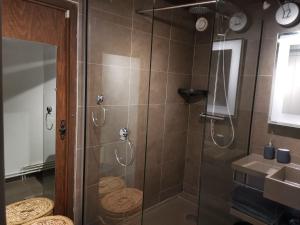 ein Bad mit einer Dusche und einer Glastür in der Unterkunft Gite des Cotes de Sioule in Lisseuil