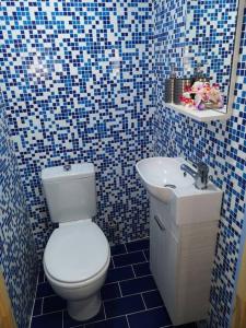 a blue and white bathroom with a toilet and a sink at Valantas Garden Suite in Lardos