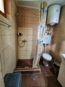 a small bathroom with a shower and a toilet at Villa Balconlux - Zavojsko jezero, Pirot in Pirot +19 photos