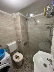 a bathroom with a toilet and a sink and a shower at Sea Apartment Igalo in Herceg-Novi