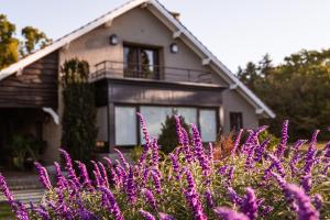 a house with purple flowers in front of it at LA NATURE Hostería boutique B&B in Tandil
