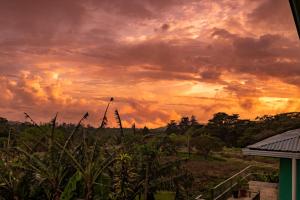 Una puesta de sol sobre un campo con plantas en primer plano en Hostel La Suerte, en Monteverde