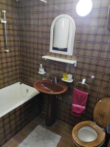 y baño con lavabo, aseo y espejo. en PLANINSKA VILA SMIGIC en Divčibare