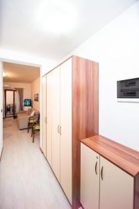 TV a/nebo společenská místnost v ubytování Apartment Studio Premier