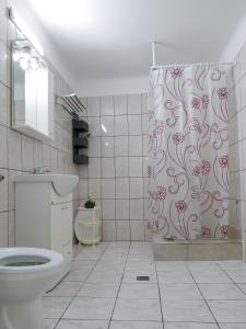 a bathroom with a shower curtain and a toilet at Casa Fery in Băile Herculane
