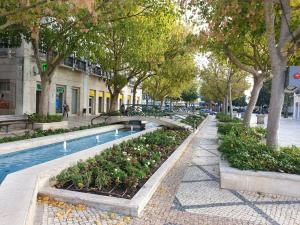Bazén v ubytování Setúbal Health Beach nebo v jeho okolí