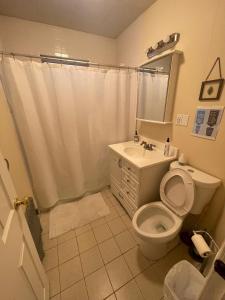 uma casa de banho com um WC e um lavatório em 25 Ellis Av em Medford
