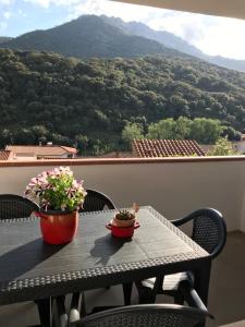 a table with two plants on top of a balcony at La Corbula - Casa Vacanze - Q5992 in Fluminimaggiore