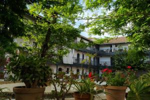 a courtyard with plants in front of a building at Vista Corral del Conde in Seville