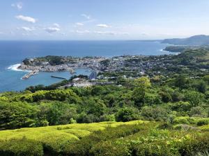 eine Luftansicht auf eine Stadt und das Meer in der Unterkunft Izu Hokkawa Seaside Guesthouse 伊豆北川の家 in Higashiizu