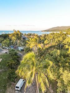 a view from the top of a tree filled hillside at Base Airlie Beach in Airlie Beach