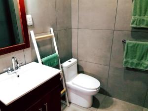 a bathroom with a toilet and a sink and green towels at Lizard King Hotel & Suites in Puerto Viejo