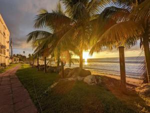 una playa con palmeras y el océano al atardecer en Eco Resort Condos en Aguada