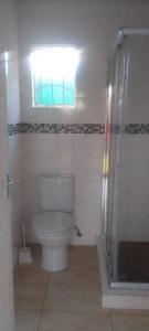 Un baño con inodoro, ventana y ducha. en Bambati residence, en Soshanguve